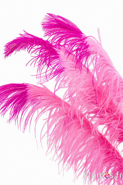 Strauss premium - 50-60 cm - rosa-fuchsia